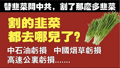 替韭菜問中共，割了那麼多韭菜，割的韭菜都去哪兒了？中石油中石化虧損、中國煙草虧損、高速公路虧損、高鐵虧損。2021.03.22NO701 - 天天要聞