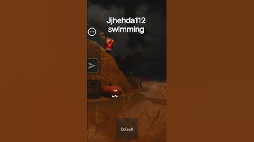 exploiter report number 2