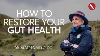 How to Detox and Heal Your Gut | Dr. Alberto Villoldo