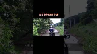 초여름 밤꽃 냄새의 주범 #automobile #투어라이딩 #여행#shorts#어드벤쳐바이크
