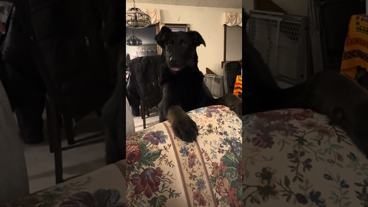 Она слегка попробовала меня на вкус, и это больно 