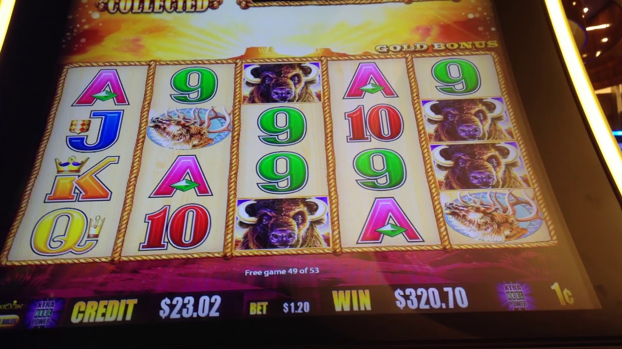 buffalo slots biggest win
