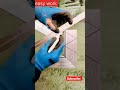 easy welding works#mecinical&amp; #electrical#shortvideo #newtrend#vediovirel