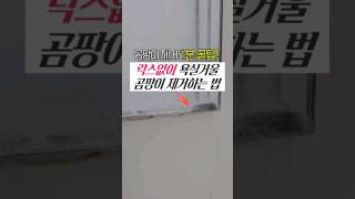 거울곰팡이, 락스 쓰지마세요! 청소없이 제거하는 꿀팁👍