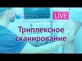 УЗИ сосудов ног - трансляция в Periscope