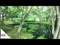 【4K】Taking a Walk at Kumoba Pond in Karuizawa