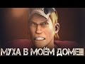 МУХА В МОЁМ ДОМЕ!!! | Рандомный Шусс | [SFM]