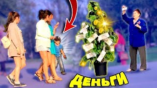 Заберут Ли Прохожие Дерево C Деньгами?