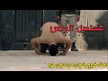 لحظه خروج رضوان من السجن مسلسل البرنس