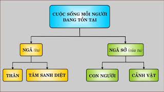 Không Chấp Trước - Thích Tâm Hạnh