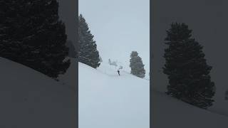 Gliding on the catwalk. #skiing #winter #adventure