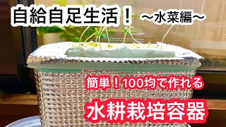 【自給自足生活】初心者でも簡単！100均で作る水耕栽培容器