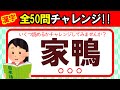 【全50問チャレンジ】全部読めたら漢字の達人！！｜脳トレ｜脳活｜難読｜漢字クイズ｜語彙力を高めよう！【家鴨】