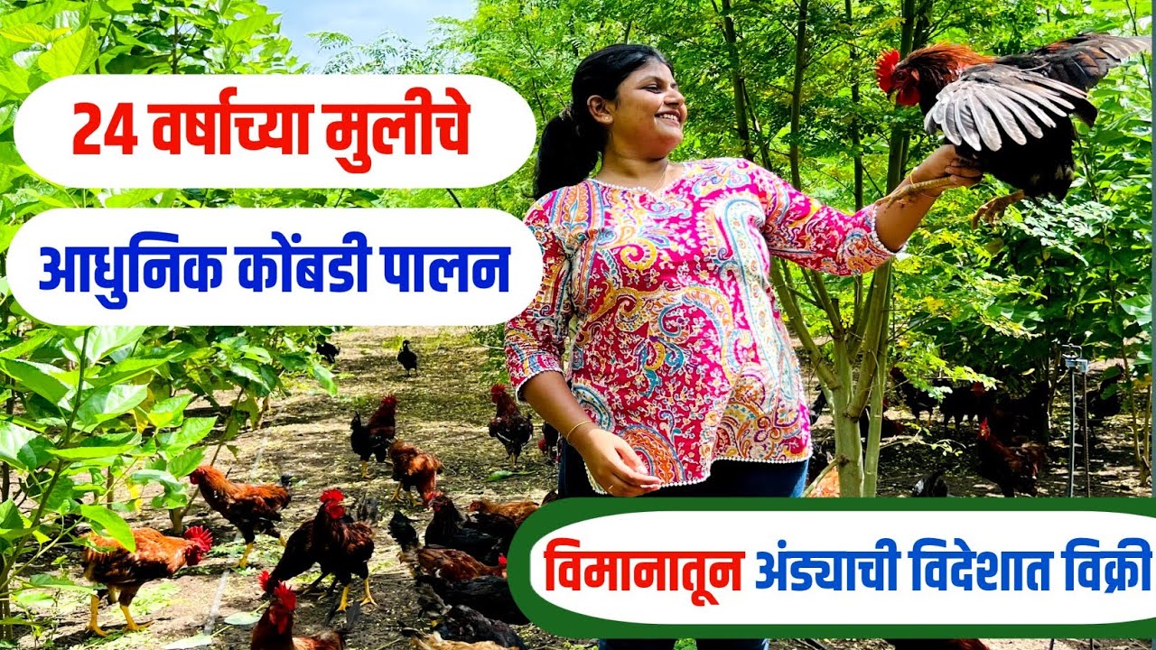 24 वर्षाच्या मुलीने सुरू केलं महाराष्ट्रातील सर्वात आधुनिक कोंबडी पालन | gavran kombdi palan | 