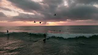 4k Drone Promo University of San Diego Drone