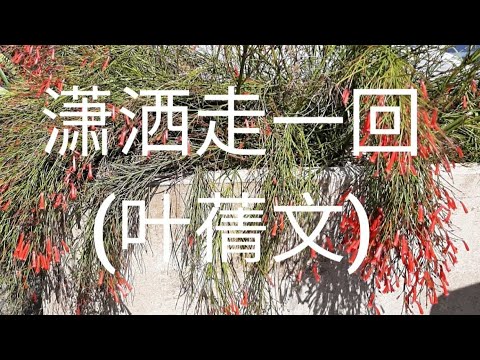 叶倩文 《潇洒走一回》- 歌词 (西班牙的风景)