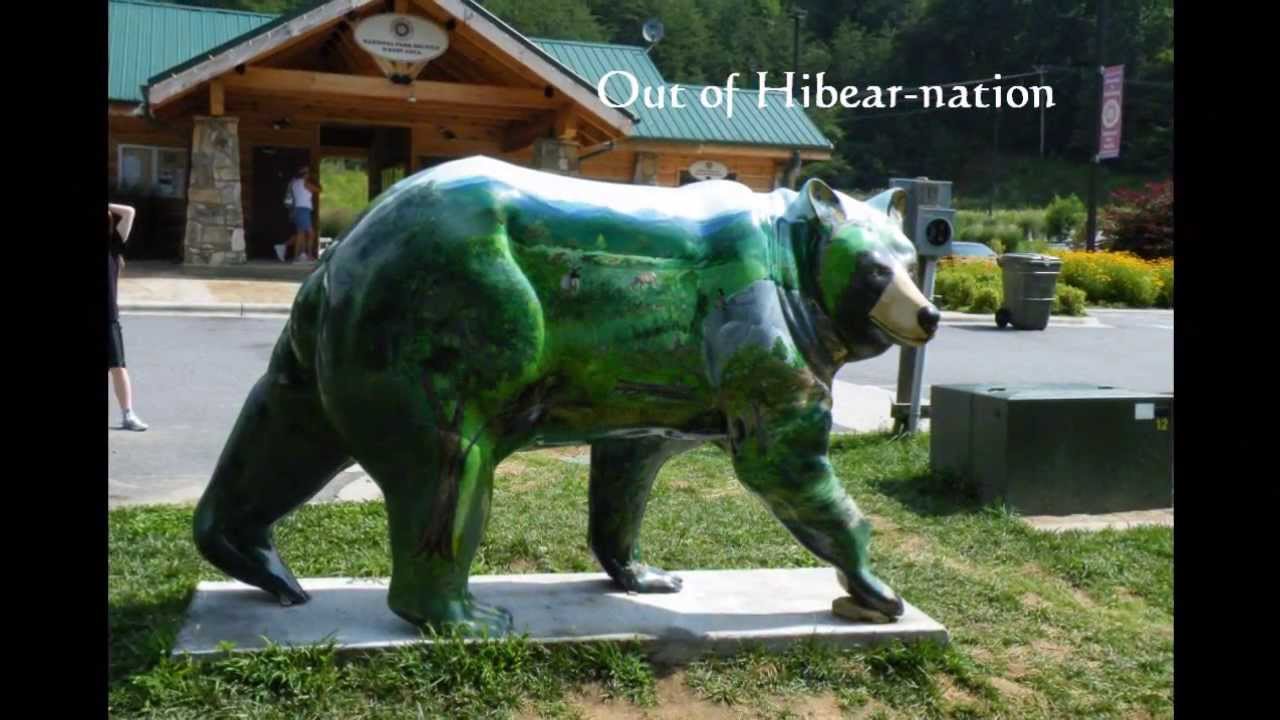 CHEROKEE, NC Cherokee Painted Bear Project in North Carolina YouTube