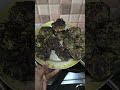 ପୋଇପତ୍ର ବରା||poipatra bara||cooking||odisha#cooking #food #trending #viral #shorts#odia