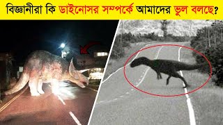 সত্যিই কি এখনো ডাইনোসর জীবিত আছে! ক্যামেরায় রেকর্ড না হলে এই ঘটনা বিশ্বাস করতেন না #Dinosaurs screenshot 5