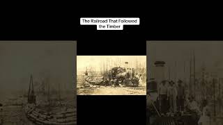 The Railroad That Followed The Timber