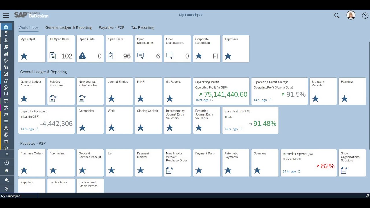 Budget Holder Access in SAP Business ByDesign DEMO