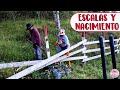 Haciendo escalas en el jardín, limpiando el nacimiento y más tareas │Candy Bu