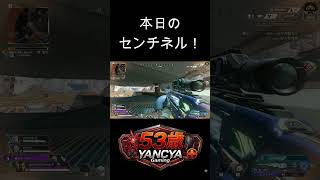 本日のセンチネル！ #ApexLegends #APEX #53歳 #キーマウ #おじさんゲーマー #yancya53 #FPS