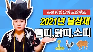 [샤먼tv] 2021년 뱀띠,닭띠,소띠 날삼재 극복합시다~!