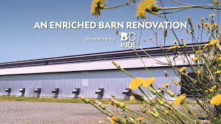 An Enriched Barn Renovation with Planeview Farms