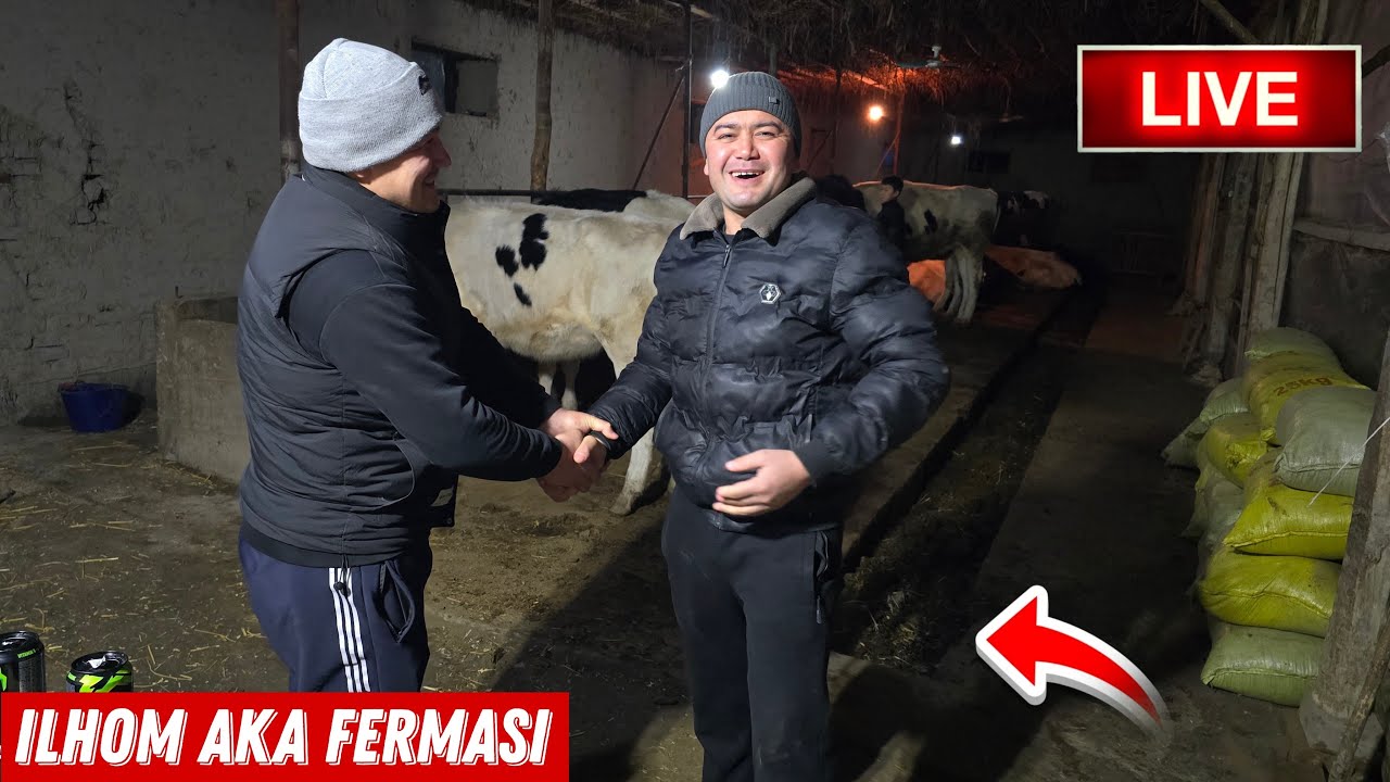 ABROR UZ efirda! Ilhom AKA Bugun Jangda