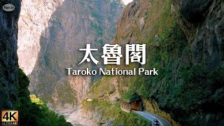 Flying  Through The Taroko National Park, Taiwan.