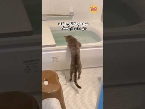 انت كل مرة يضحك عليكي كدا