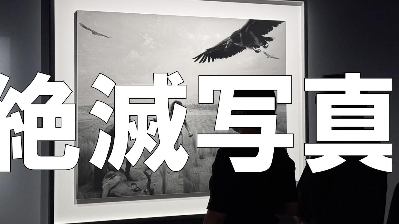 杉本博司HIROSHI SUGIMOTO「絶滅写真」国立近代美術館 - YouTube