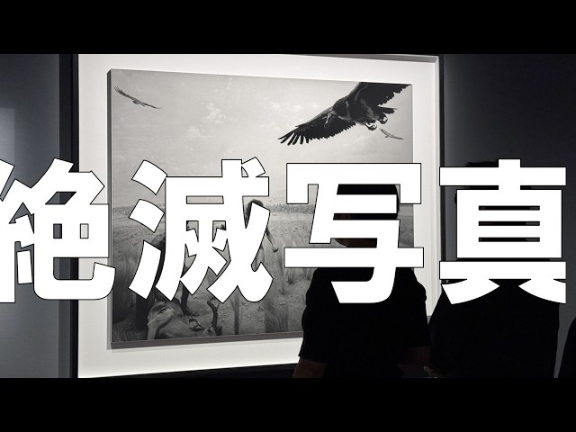 杉本博司HIROSHI SUGIMOTO「絶滅写真」国立近代美術館 - YouTube