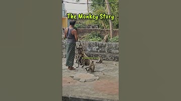 The Monkey Story | Sanjay Appan | Students Life #commerce #studytips