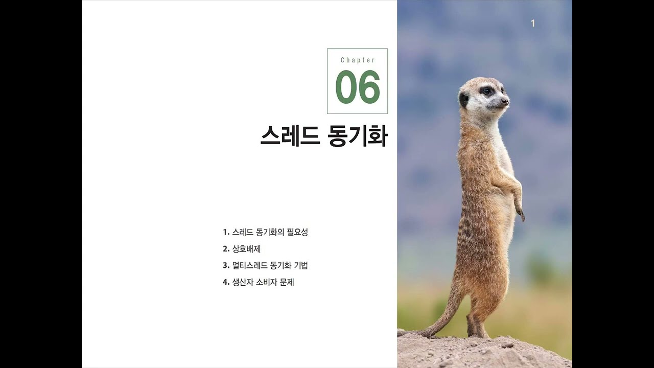 6장 스레드 동기화