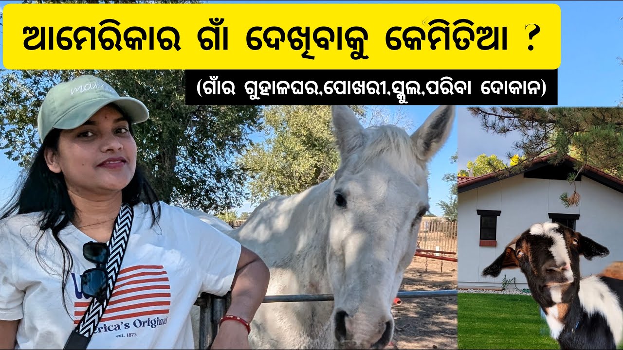 ଆମେରିକାର ଗାଁ || American Village Tour || Birajini Vlog ||