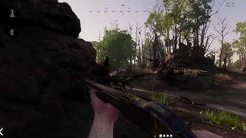Hunt  Showdown Invisible glitch and  a hack shot