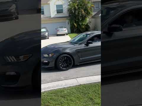 #shelbygt350  @karenhartman6075