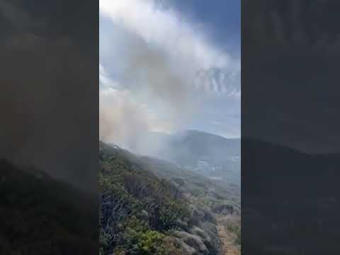 Πυρκαγιά στον Μόσλο Σητείας