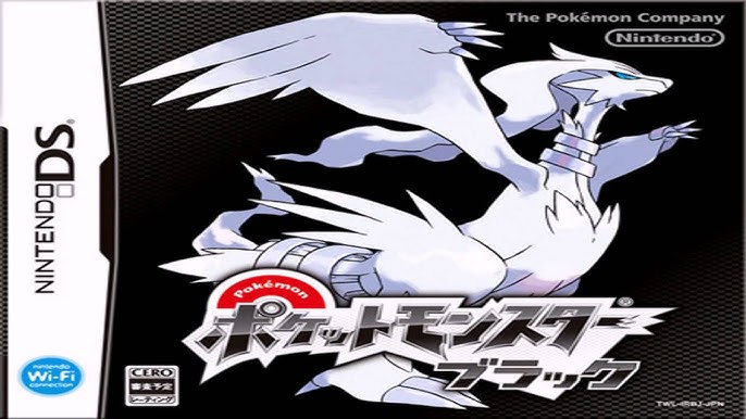 black hair blue eyes long hair necklace pokemon reshiram starshadowmagician  sunglasses white hair yellow eyes zekrom