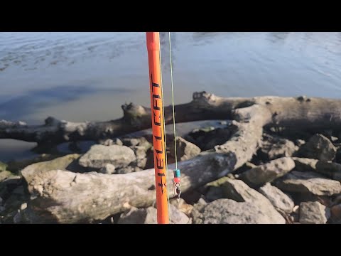Fishing With Hellcat Rods(Shrimp For Bait!) 