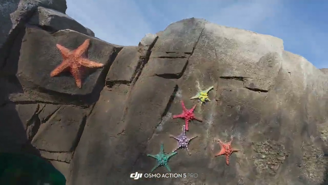 8 января 2026 г.