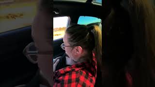 Ostrich Goes inside the Car with Its Head to Steal Donkey’s Food