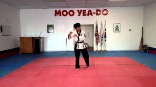 Moo Yea-Do Step-In Side Kick Tutorial