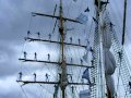 Hartlepool tall . ships brave sailors