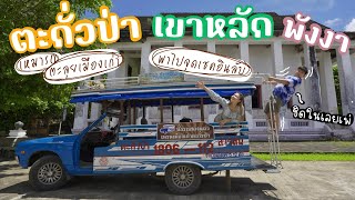 Takua Pa - Khao Lak, Phang Nga, chartered a Pho Thong car to travel around the old city.