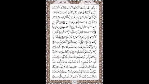 القرآن الكريم بصوت الشيخ سعد الغامدى صفحات صفحة رقم ( 18)