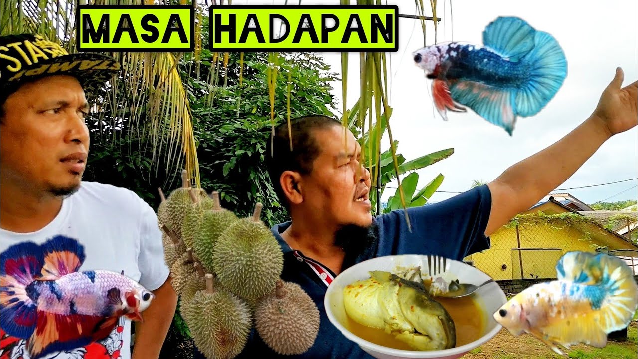 Pergi Melawat Hobi Atok Tak Sihat//Terjah Farm Betta Hobi Atok.