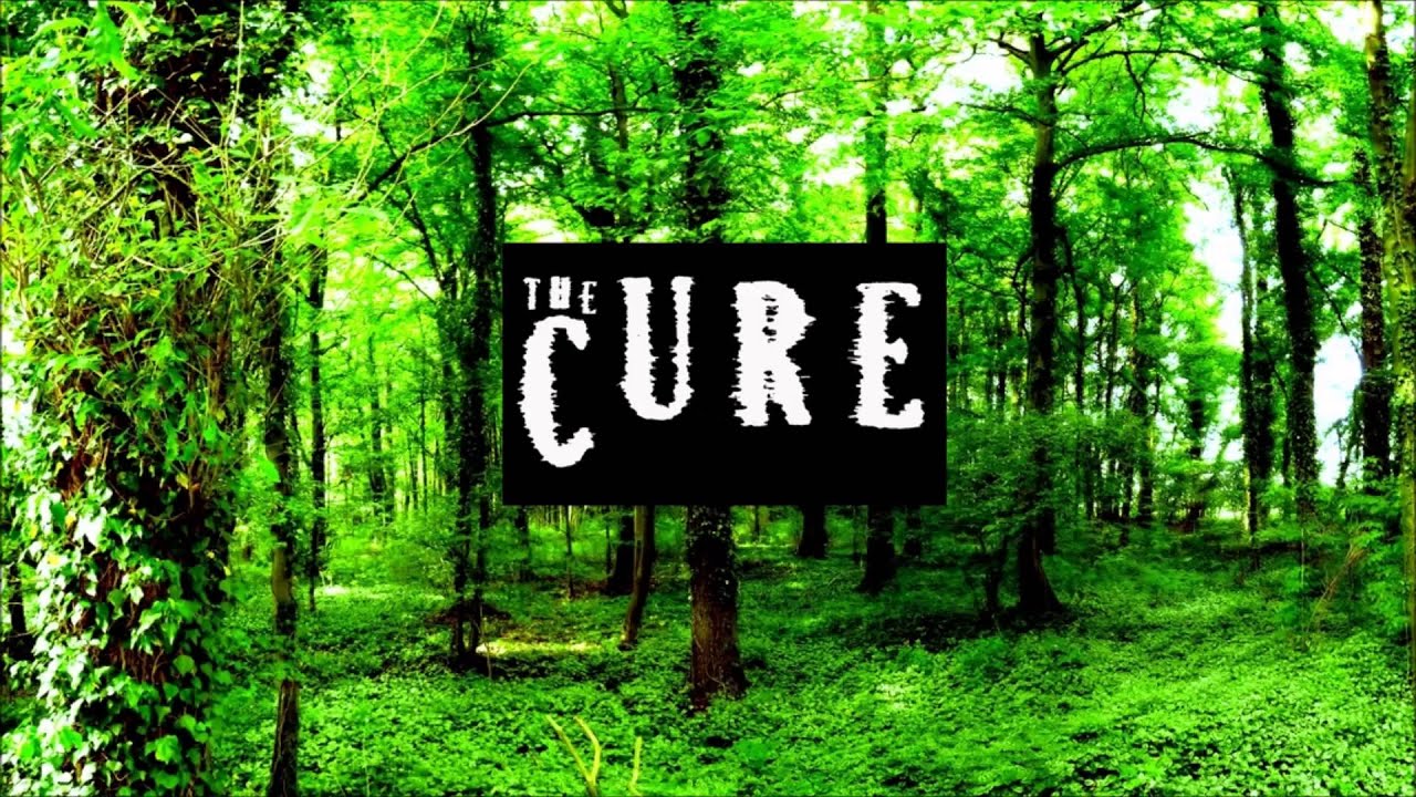 The cure forest. The Cure a Forest. A Forest the Cure текст. The Cure - a Forest 1980 альбом. The Cure Vinyl a Forest.